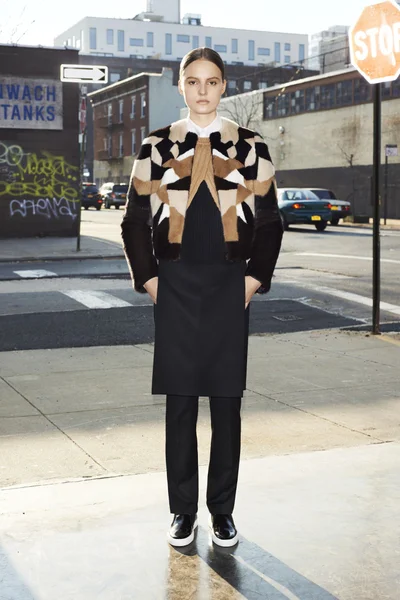 Look 13
